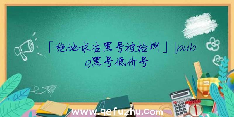 「绝地求生黑号被检测」|pubg黑号低价号